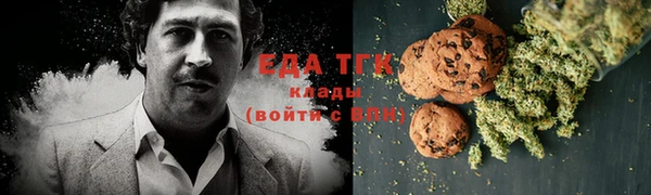 индика Кулебаки