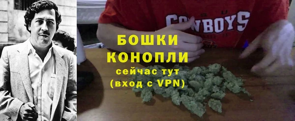 соль ск Кукмор