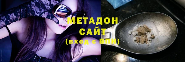 индика Кулебаки