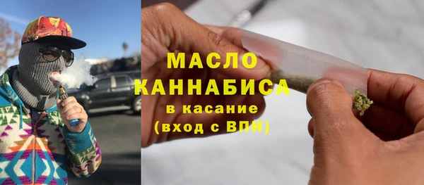индика Кулебаки