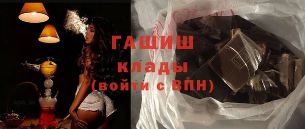 индика Кулебаки
