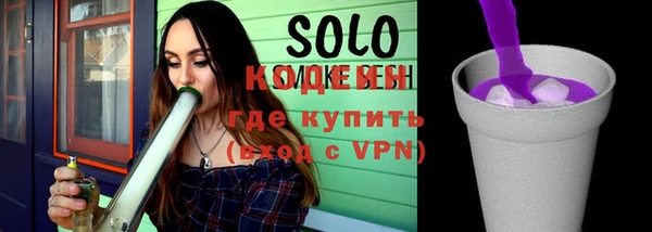 соль ск Кукмор