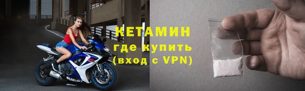 индика Кулебаки