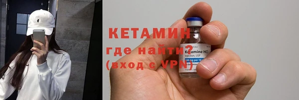 индика Кулебаки