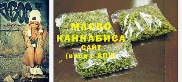 индика Кулебаки