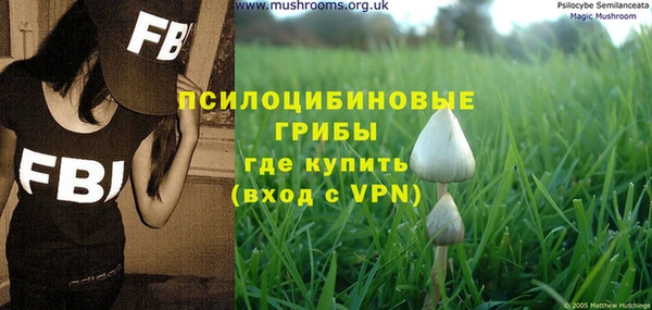 индика Кулебаки