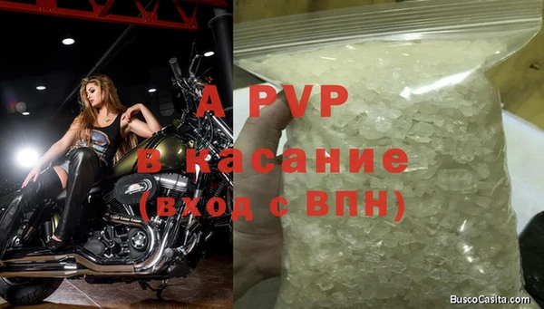 соль ск Кукмор