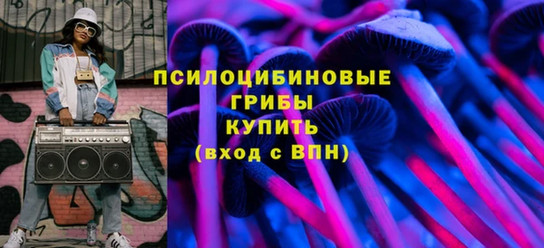 соль ск Кукмор