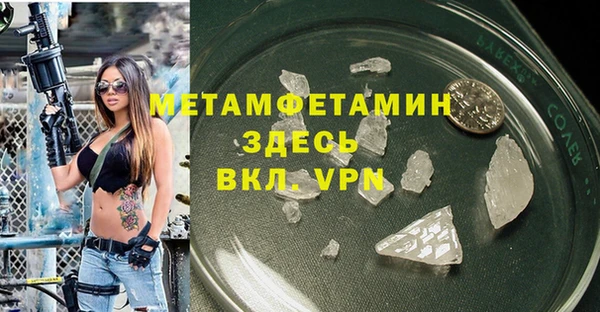 индика Кулебаки