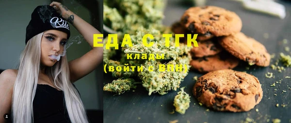 индика Кулебаки
