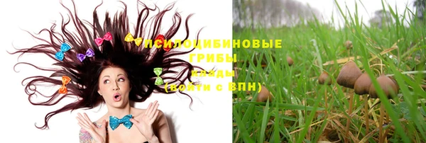 индика Кулебаки