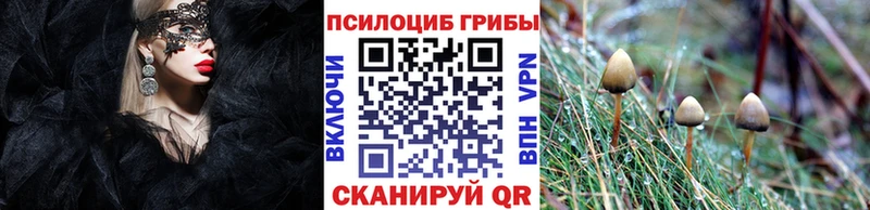 Галлюциногенные грибы Psilocybine cubensis  Староминская 